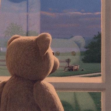一只小熊望着窗外的头像意境(一只熊看着窗外头像)