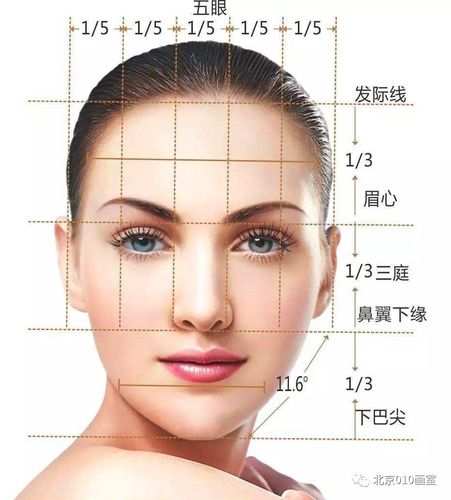 素描头像五官与脸部结构的关系(素描头像如何确定五官位置大小)