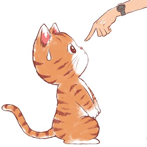 抱橘猫头像卡通(卡通头像抱着白色猫咪)