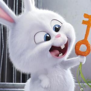 兔子与胡萝卜情侣头像(兔子带胡萝卜的情侣头像)