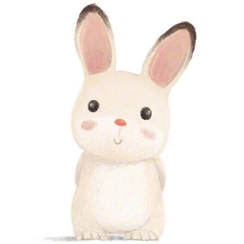 超可爱的头像兔兔(可爱的粉色兔兔头像)