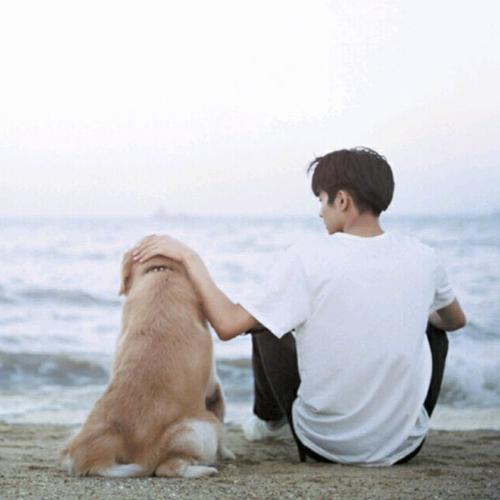 一个少年背影和一只狗的头像(一只狗和一个小男孩的头像)