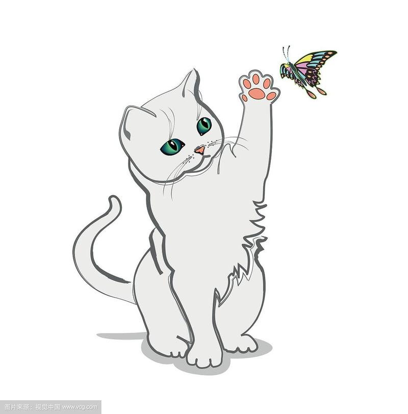 蝴蝶与猫的头像(花与猫的头像图片)