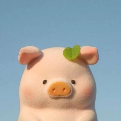 可爱猪猪立体头像