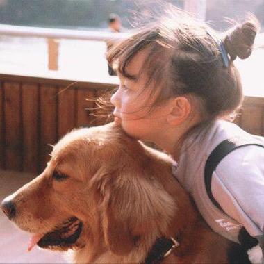 一个女孩和小狗的头像(一个女孩抱着白狗的头像)