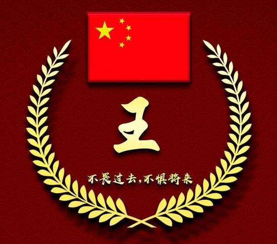 魏姓氏头像中国国旗(魏的姓氏头像2024)