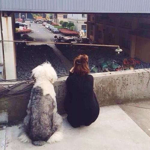 一个女人和一只狗的背影头像(女生和狗的背影头像图片大全)