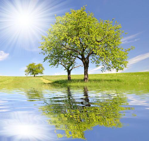 有树有水有阳光的图片头像(有山有水的适合做头像的图片)