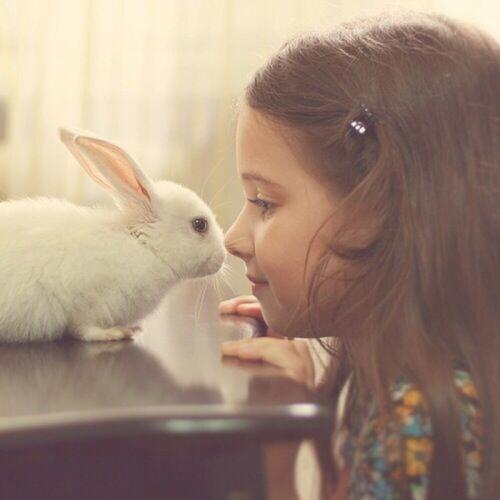 抱着兔子的女孩原创头像(女生抱着兔子的头像真人)