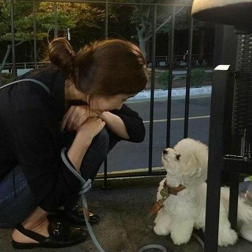 一个女的坐着旁边有只狗的头像(一个女生牵着一只小狗的头像)