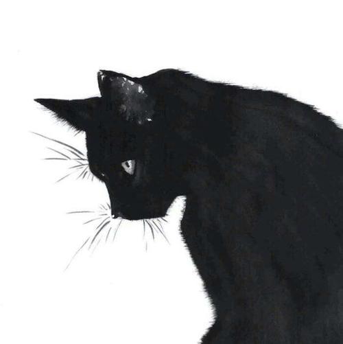 黑猫咪头像可爱(黑白猫头像卡通图片)