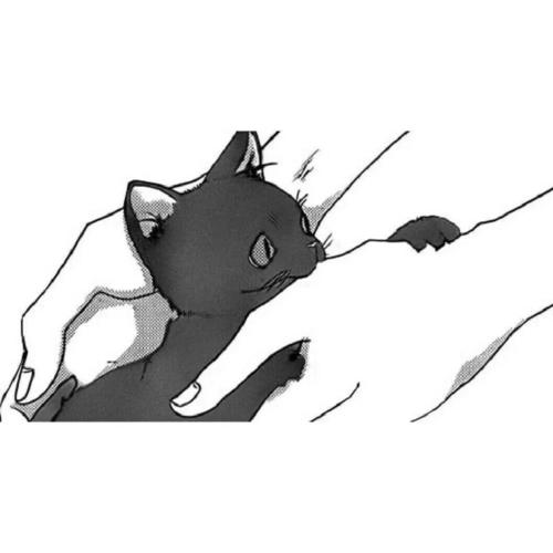动漫猫咪头像情侣黑白(情侣头像卡通猫咪黑白系)