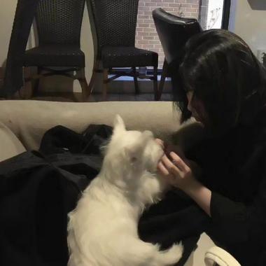 抱黑色猫的情侣头像(抱猫情侣头像猫是粉色的)