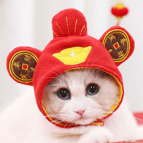 猫咪戴红色帽子头像(猫咪戴墨镜帽子头像)