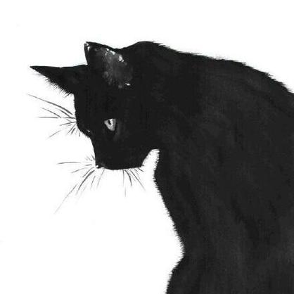 微信头像黑猫图片大全(微信头像卡通黑猫)