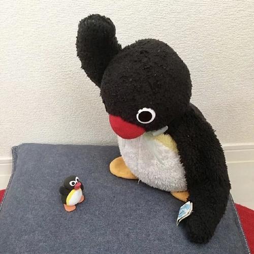 一只企鹅玩偶的头像(一个小熊一个企鹅头像)