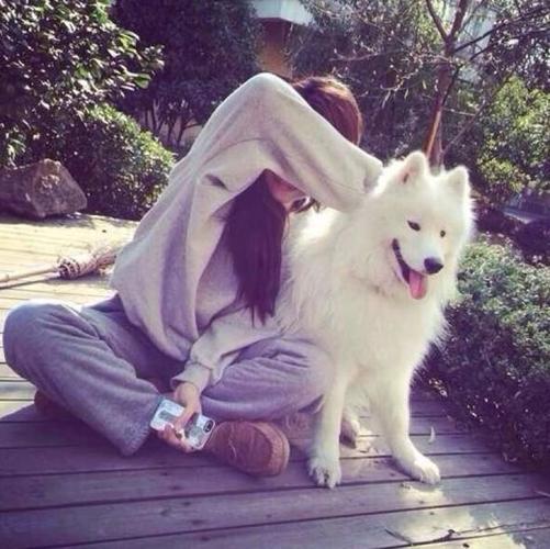女生和一只狗的头像(女生跟狗狗的头像)