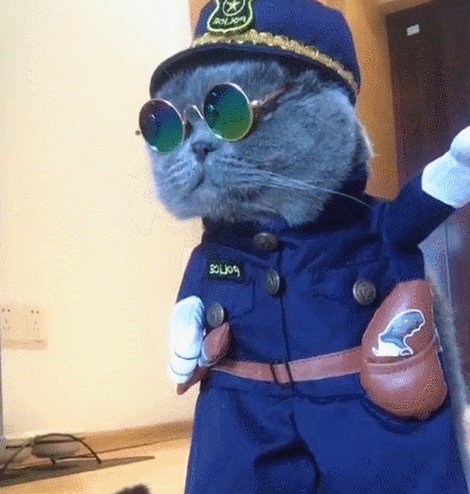 猫咪警察的头像图片(猫猫警察头像)