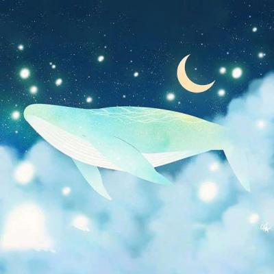 鲸梦微信头像(梦梦微信头像图片)