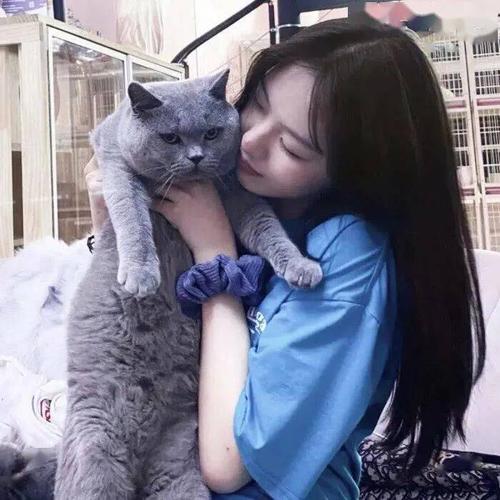 女生头像抱猫蓝色(抱猫的女生头像甜美)