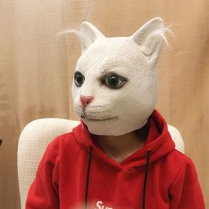 戴猫脸面具的情侣头像(手捧猫脸对脸的情侣头像)