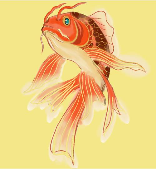 鱼的微信头像图(关于鱼的个性微信头像)