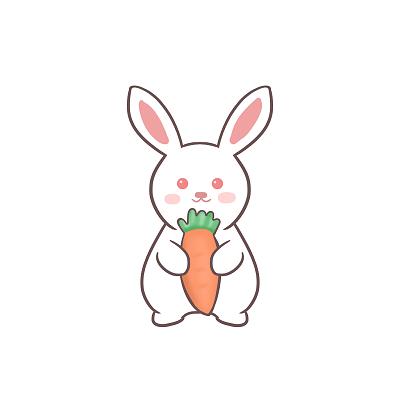 微信头像小白兔抱胡萝卜图片(微信头像小兔兔照片)