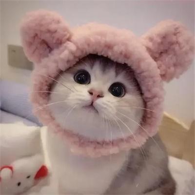 微信可爱猫猫头像(微信卡通头像猫猫)